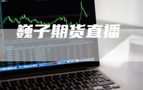 巍子期货直播