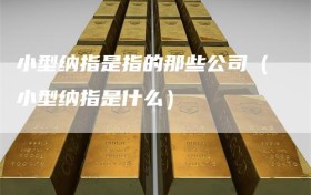 小型纳指是指的那些公司（小型纳指是什么）