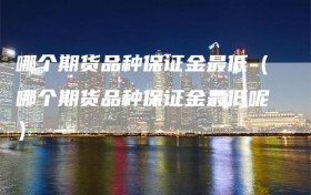 哪个期货品种保证金最低（哪个期货品种保证金最低呢）