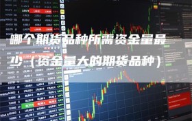 哪个期货品种所需资金量最少（资金量大的期货品种）