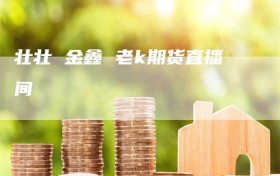 壮壮 金鑫 老k期货直播间