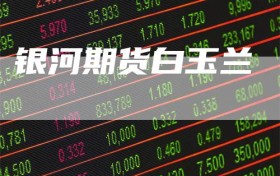 银河期货白玉兰