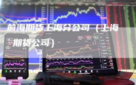 前海期货上海分公司（上海 期货公司）