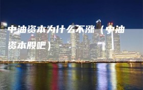 中油资本为什么不涨（中油资本股吧）