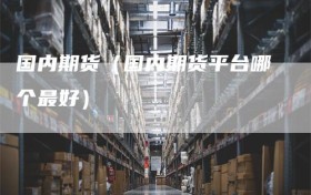 国内期货（国内期货平台哪个最好）