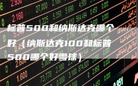 标普500和纳斯达克哪个好（纳斯达克100和标普500哪个好雪球）