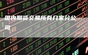 国内期货交易所有几家分公司