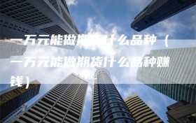 一万元能做期货什么品种（一万元能做期货什么品种赚钱）