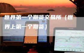 世界第一个期货交易所（世界上第一个期货）
