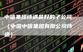 中信集团待遇最好的子公司（中国中信集团有限公司待遇）