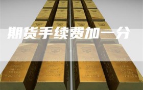 期货手续费加一分