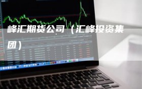 峰汇期货公司（汇峰投资集团）