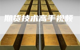 期货技术高手视频