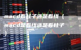 macd看柱子还是看线（macd是看线还是看柱子）
