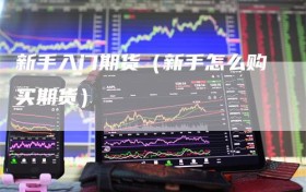 新手入门期货（新手怎么购买期货）
