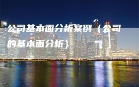 公司基本面分析案例（公司的基本面分析）