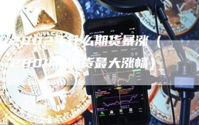 2002年什么期货暴涨（2004年期货最大涨幅）