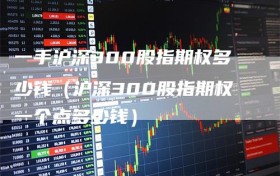 一手沪深300股指期权多少钱（沪深300股指期权一个点多少钱）