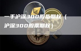 一手沪深300股指期权（沪深300股票期权）