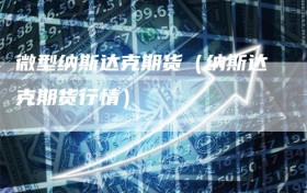 微型纳斯达克期货（纳斯达克期货行情）