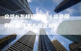 文华6怎样设止损（文华随身行画线怎么设止损）