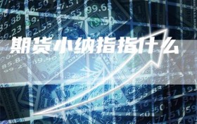 期货小纳指指什么