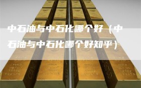 中石油与中石化哪个好（中石油与中石化哪个好知乎）