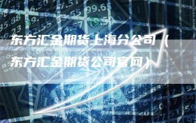 东方汇金期货上海分公司（东方汇金期货公司官网）