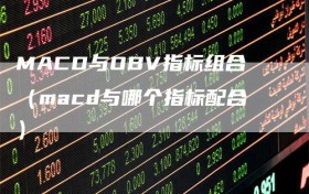 MACD与OBV指标组合（macd与哪个指标配合）