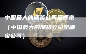 中国最大的期货公司是哪家（中国最大的期货公司是哪家公司）