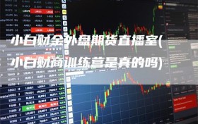 小白财金外盘期货直播室(小白财商训练营是真的吗)