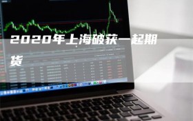 2020年上海破获一起期货