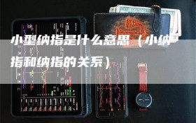 小型纳指是什么意思（小纳指和纳指的关系）