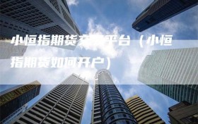 小恒指期货交易平台（小恒指期货如何开户）