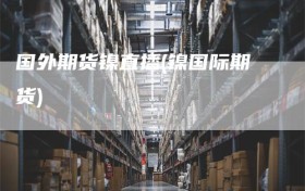 国外期货镍直播(镍国际期货)