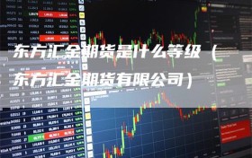 东方汇金期货是什么等级（东方汇金期货有限公司）
