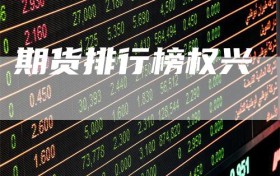 期货排行榜权兴