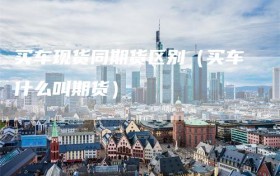 买车现货同期货区别（买车什么叫期货）
