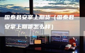 国泰君安掌上期货（国泰君安掌上期货怎么样）