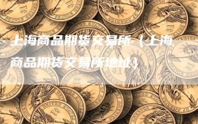 上海商品期货交易所（上海商品期货交易所地址）