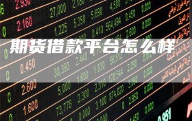 期货借款平台怎么样