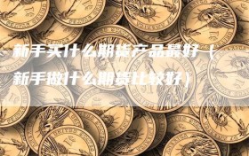 新手买什么期货产品最好（新手做什么期货比较好）