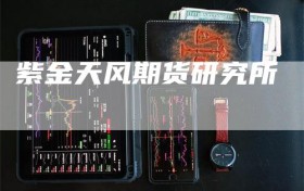 紫金天风期货研究所