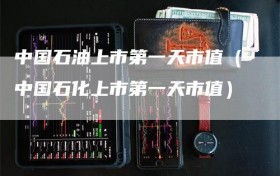 中国石油上市第一天市值（中国石化上市第一天市值）