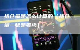 持仓量是怎么计算的（持仓量一张是多少）