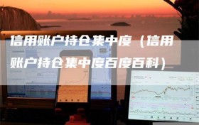 信用账户持仓集中度（信用账户持仓集中度百度百科）