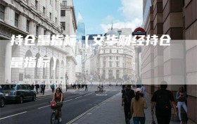 持仓量指标（文华财经持仓量指标）