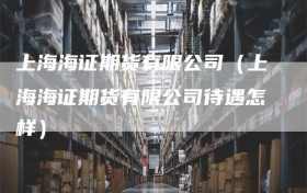 上海海证期货有限公司（上海海证期货有限公司待遇怎样）