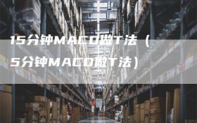 15分钟MACD做T法（5分钟MACD做T法）