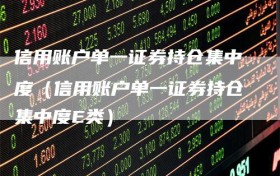 信用账户单一证券持仓集中度（信用账户单一证券持仓集中度E类）